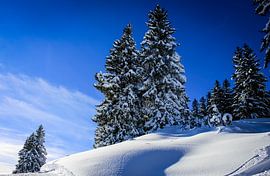 Allgäu on the mountain noon von Freedom Streaming Photography