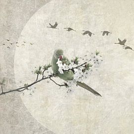 Japandi. Vögel. Wabi-Sabi.