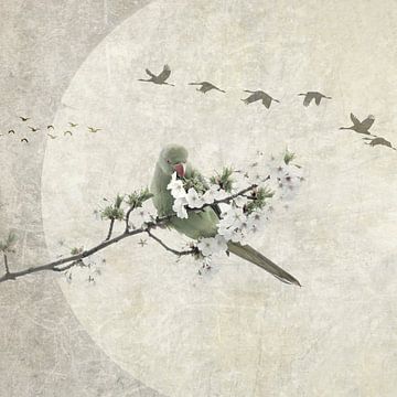 Japandi. Birds. Wabi-Sabi. van Alie Ekkelenkamp