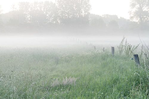 a beautiful morning