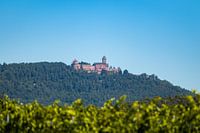 Castle Haut-Kœnigsbourg