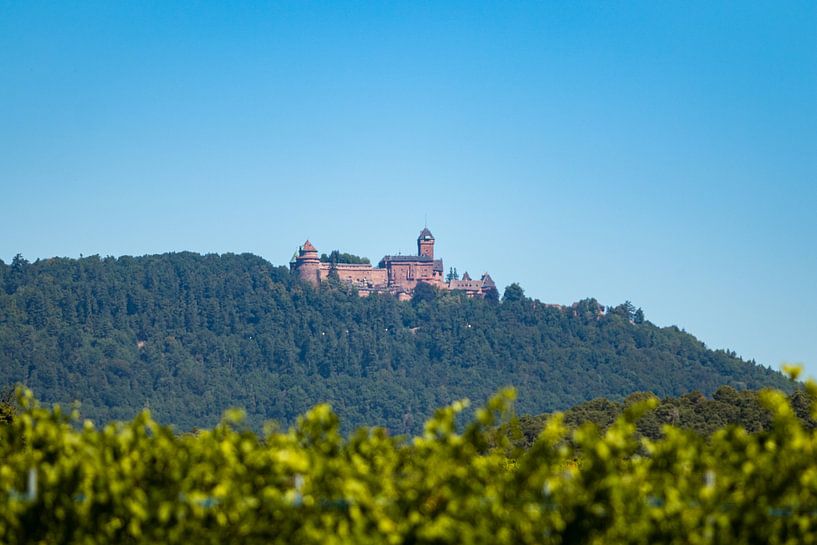 Château du Haut-Kœnigsbourg par Jordy Blokland