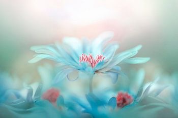 Verträumte blaue Blüten