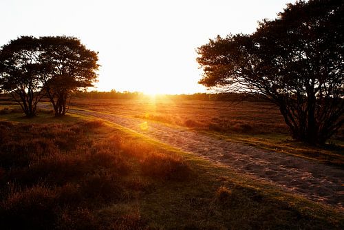 Zonsondergang op de Larense Heide