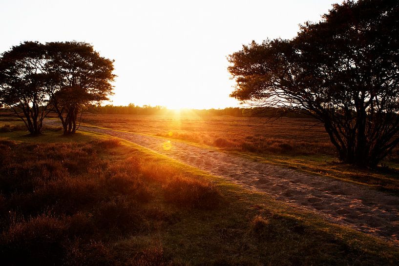 Zonsondergang op de Larense Heide von Christiaan Krouwels