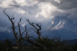 Die Sonne bricht durch die Wolken im Torres del Paine