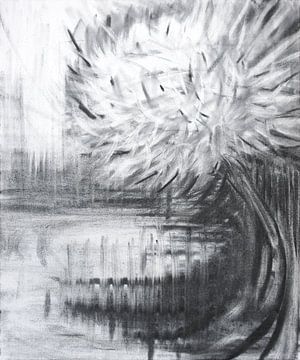 secrets-revealed-s001-9__2009 van Hans Zantman