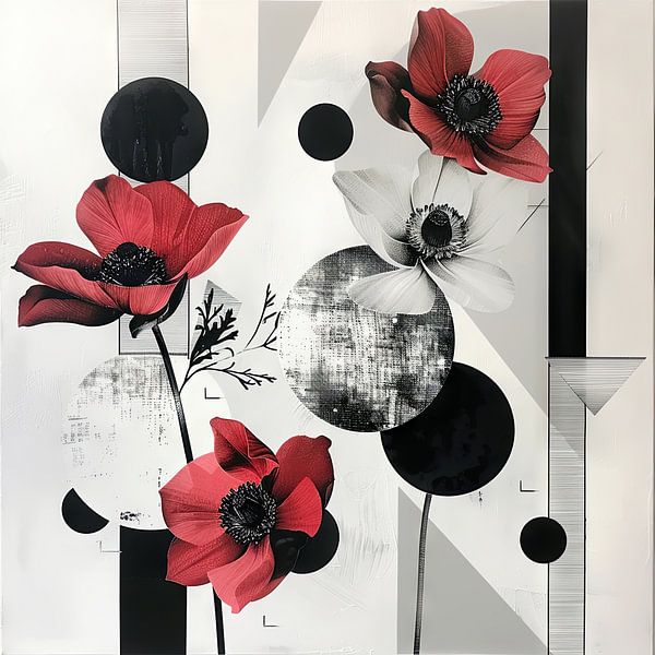 Crown anemone by Poster Art Shop