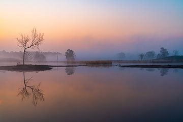 Es war ein ruhiger Wintermorgen kurz vor Sonnenaufgang. von Adri Klaassen