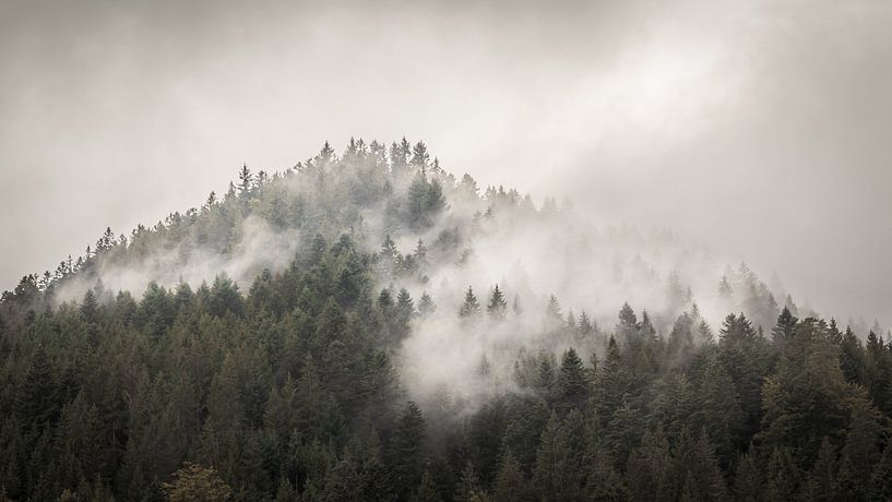 Der Nordschwarzwald von Severin Frank Fotografie