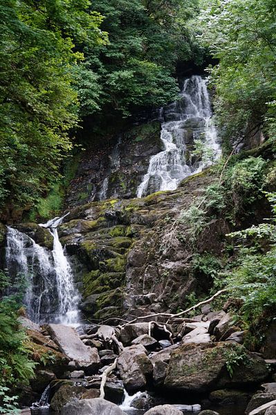 Torc Waterfall est une chute d'eau au pied du mont Torc. par Babetts Bildergalerie