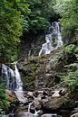 Torc Waterfall ist ein Wasserfall am Fuße des Torc Mountain von Babetts Bildergalerie Miniaturansicht