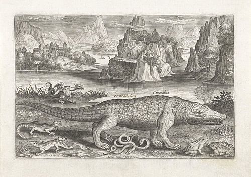 Quelques reptiles et amphibiens sur un banc par Adriaen Collaert, après 1598 - 1618_1