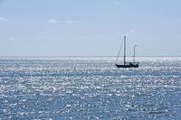 Boot in tegenlicht