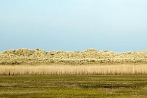 Dünenlandschaft von Ameland von Merijn van der Vliet