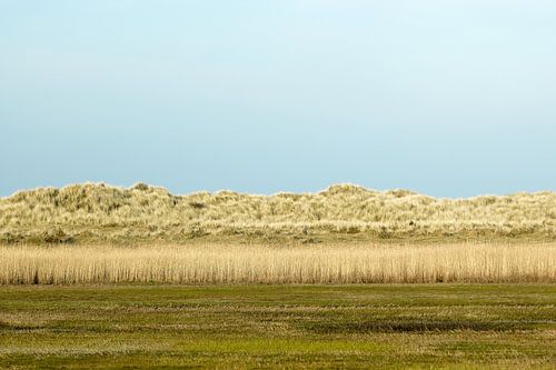 Paysage de dunes de l'Ameland
