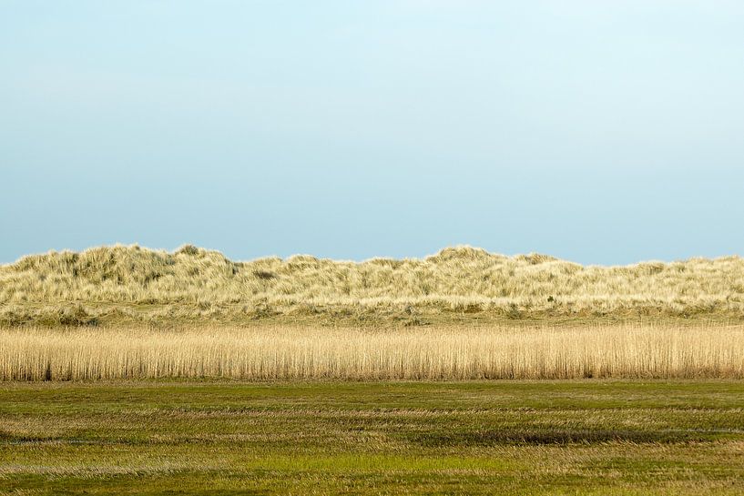 Dünenlandschaft von Ameland von Merijn van der Vliet