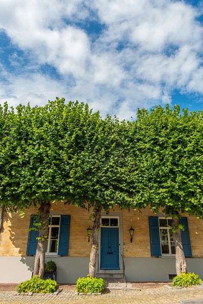 Valkenburg, Limburg, Pays-Bas - Lim classique, vieille de plusieurs siècles par Andrew Balcombe
