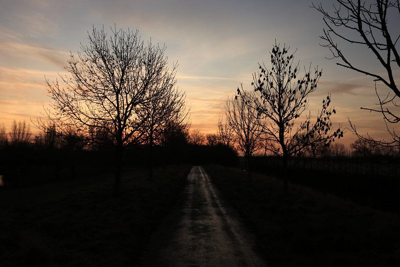 Ochtend zon van VenPhoto