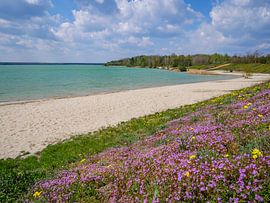Zicht op het Partwitz meer in de lente