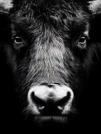 Taurus - Archaic strength in a black and white portrait by drdigitaldesign