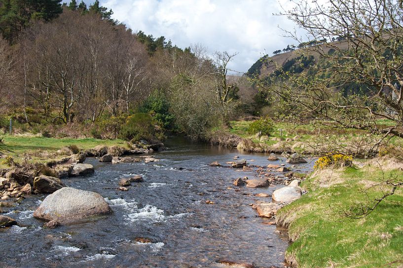 Fluss in Avoca, Irland 1 von Peter Schütte