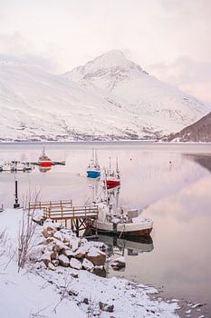 Het Kaldfjord in de Winter