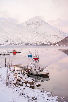 Het Kaldfjord in de Winter van Henrike Schenk