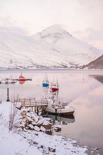 Het Kaldfjord in de Winter