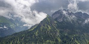 wildes Allgäu