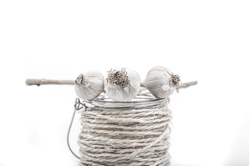 Laying garlic van Willy Sybesma