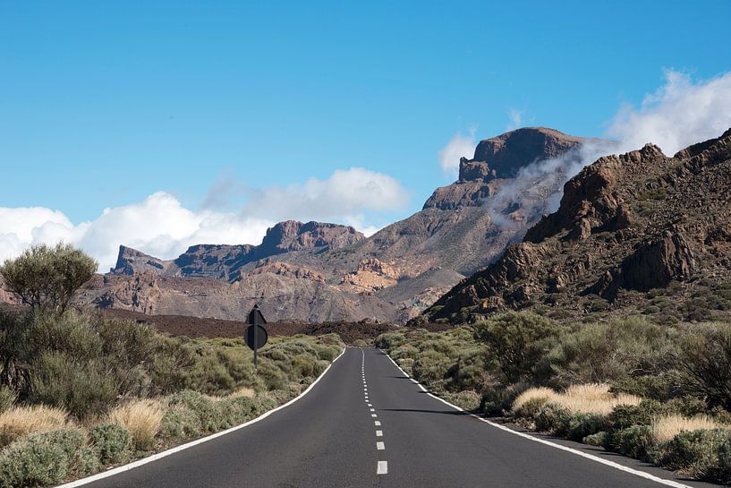 weg naar de el teide vulkaan op tenerife van ChrisWillemsen