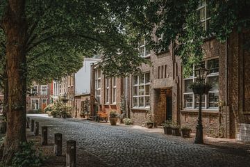Pieterskerkhof Leiden by Dirk van Egmond