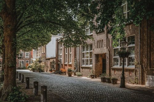 Pieterskerkhof Leiden von Dirk van Egmond