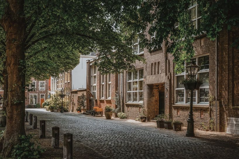 Pieterskerkhof Leiden par Dirk van Egmond