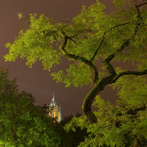 Utrecht Oudegracht: Dom tower from Pothuis