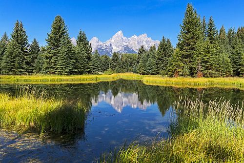 Le lac Schwabacher et son reflet. Parc national de Grand Teton
