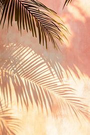 Shadow of the palm leaves by Poster Art Shop