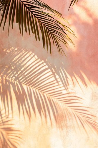 Shadow of the palm leaves