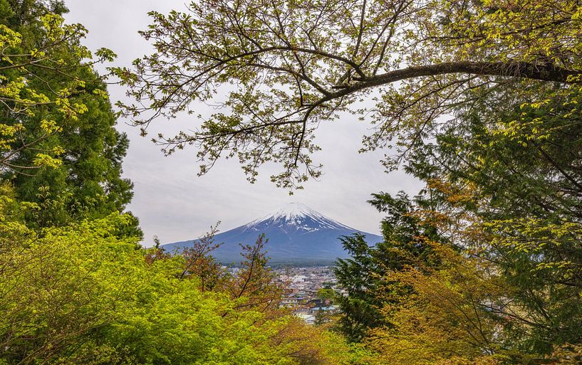 Berg Fuji - Japan (Tokio) von Marcel Kerdijk