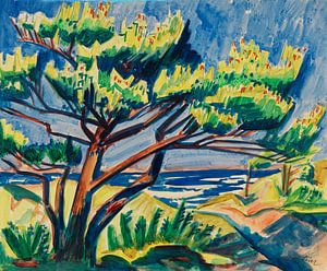 Max Pechstein, Tannenbaum in den Dünen, wahrscheinlich 1911