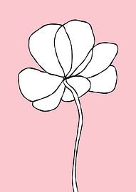 Blume auf rosa von Bainai