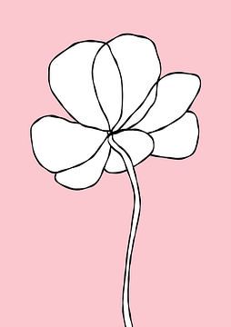 Flower on pink by Bainai