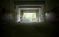 Fort de la Chartreuse | Zaal 1 van Nathan Marcusse thumbnail