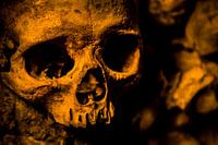 Skull of the Catacombs of Paris