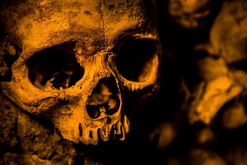 Doodshoofd Catacomben van Parijs par Melvin Erné