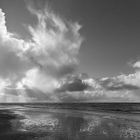 After the storm by Rob Donders Beeldende kunst