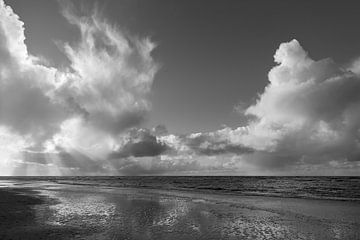 Nach dem Sturm von Rob Donders Beeldende kunst