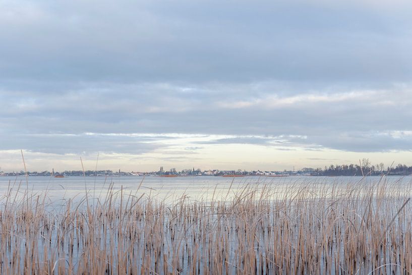 La glace sur Loosdrecht par Danielle Bosschaart