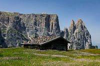 Seiser Alm mit Schlern